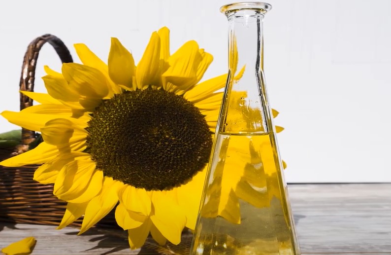 Sunflower Oil