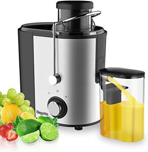 Bagotte juicer