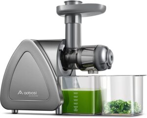 Aobosi Cold Press Juicer