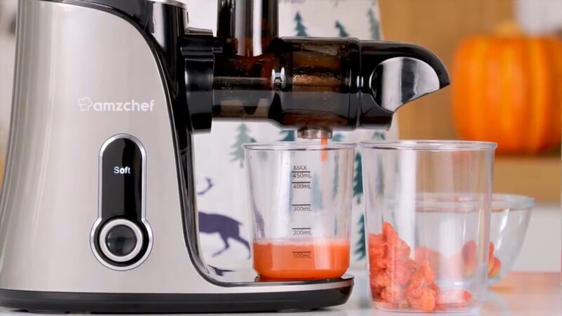 Cold press juicer