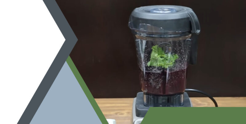 Top Budget-Friendly Blenders Under $100 to Delight Your Taste Buds