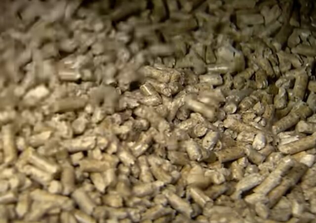 wood pellet
