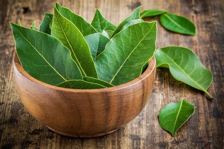 Bay Leaf