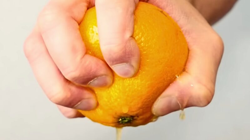 Best manual orange juicer 
