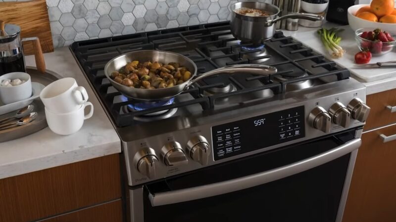PROFESSIONAL GAS RANGES for home