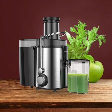 Sagnart Juicer Machine