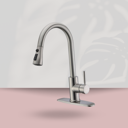 WEWE pull-out kitchen faucet