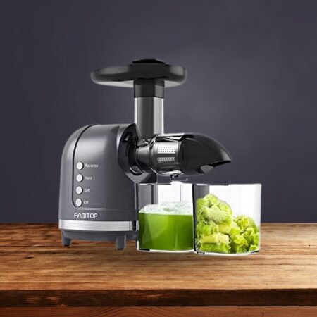 Famtop Masticating Juicer - best juicer under $200