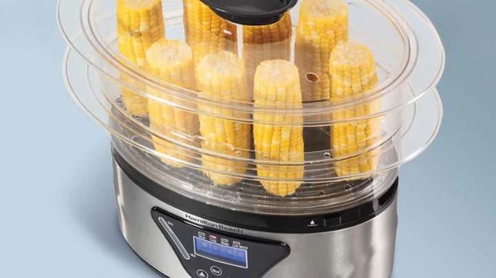 food steamer