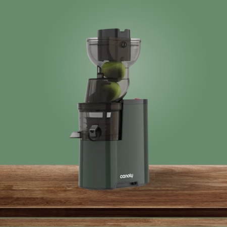 Canoly Masticating Juicer